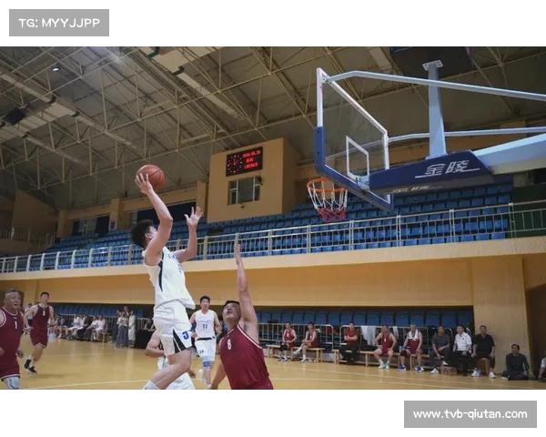 篮球在各领域展现独特魅力与深远影响